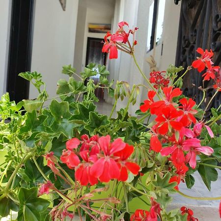 Il Casale Di Zi'Leo Bed & Breakfast Campomarino  Dış mekan fotoğraf