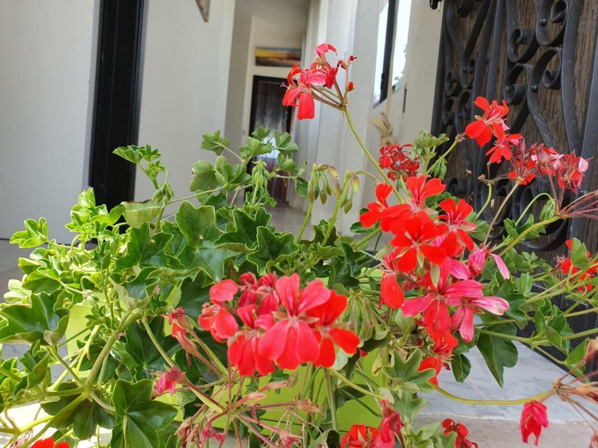 Il Casale Di Zi'Leo Bed & Breakfast Campomarino  Dış mekan fotoğraf